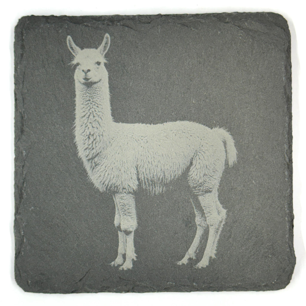 Llama Slate Coaster Set of 4, Rustic Engraved Farm Animal Drink Coasters