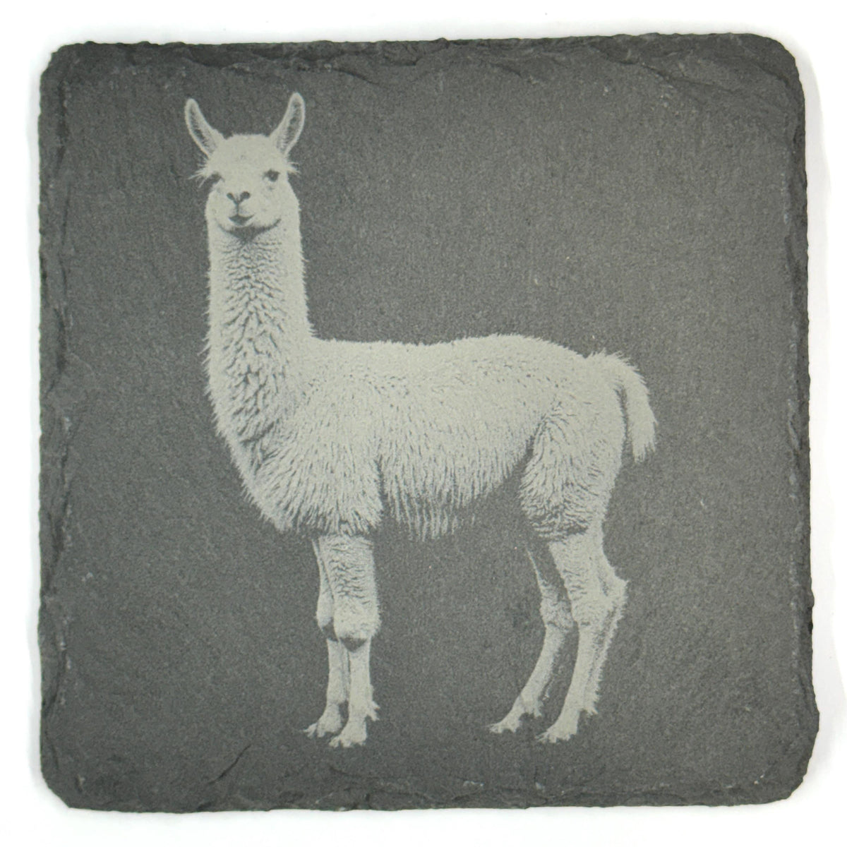 Llama Slate Coaster Set of 4, Rustic Engraved Farm Animal Drink Coasters