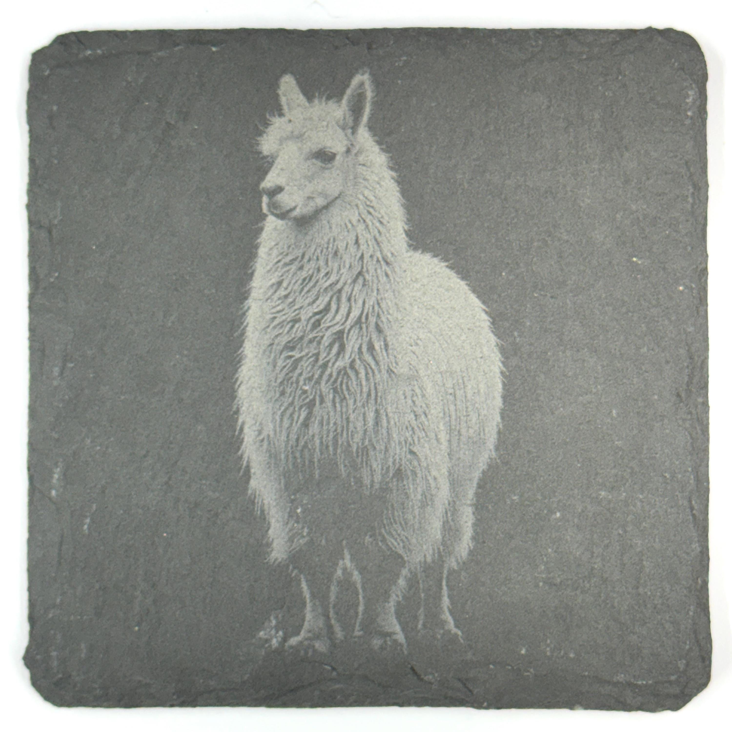 Llama Slate Coaster Set of 4, Rustic Engraved Farm Animal Drink Coasters