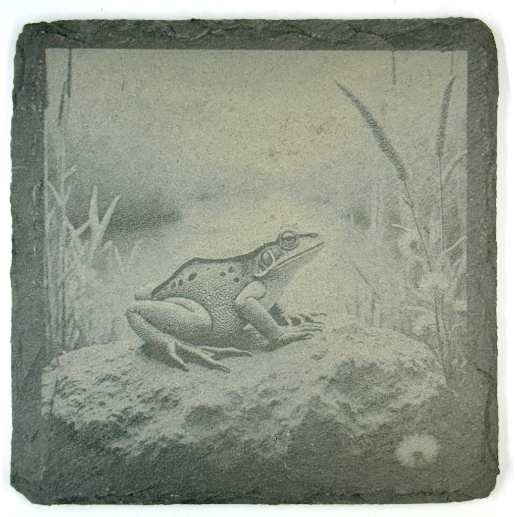 Frog Slate Coaster Set of 4, Rustic Engraved Nature Drink Coasters