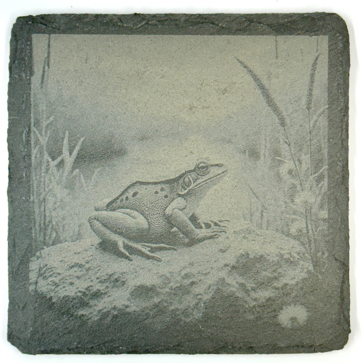 Frog Slate Coaster Set of 4, Rustic Engraved Nature Drink Coasters