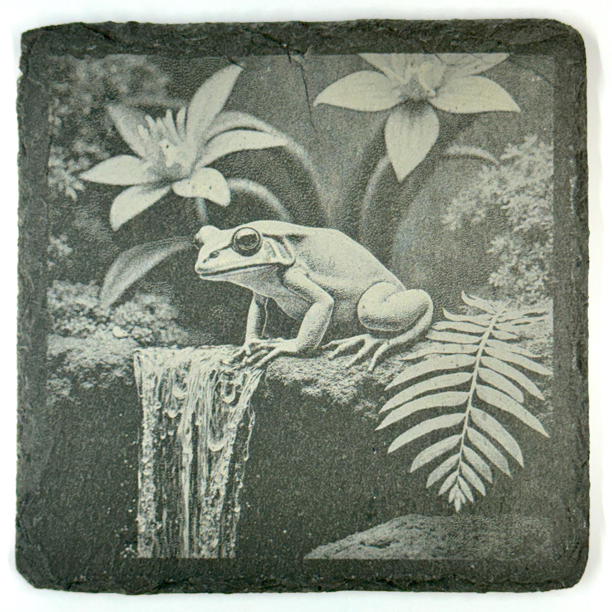 Frog Slate Coaster Set of 4, Rustic Engraved Nature Drink Coasters