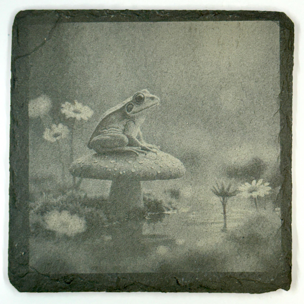 Frog Slate Coaster Set of 4, Rustic Engraved Nature Drink Coasters