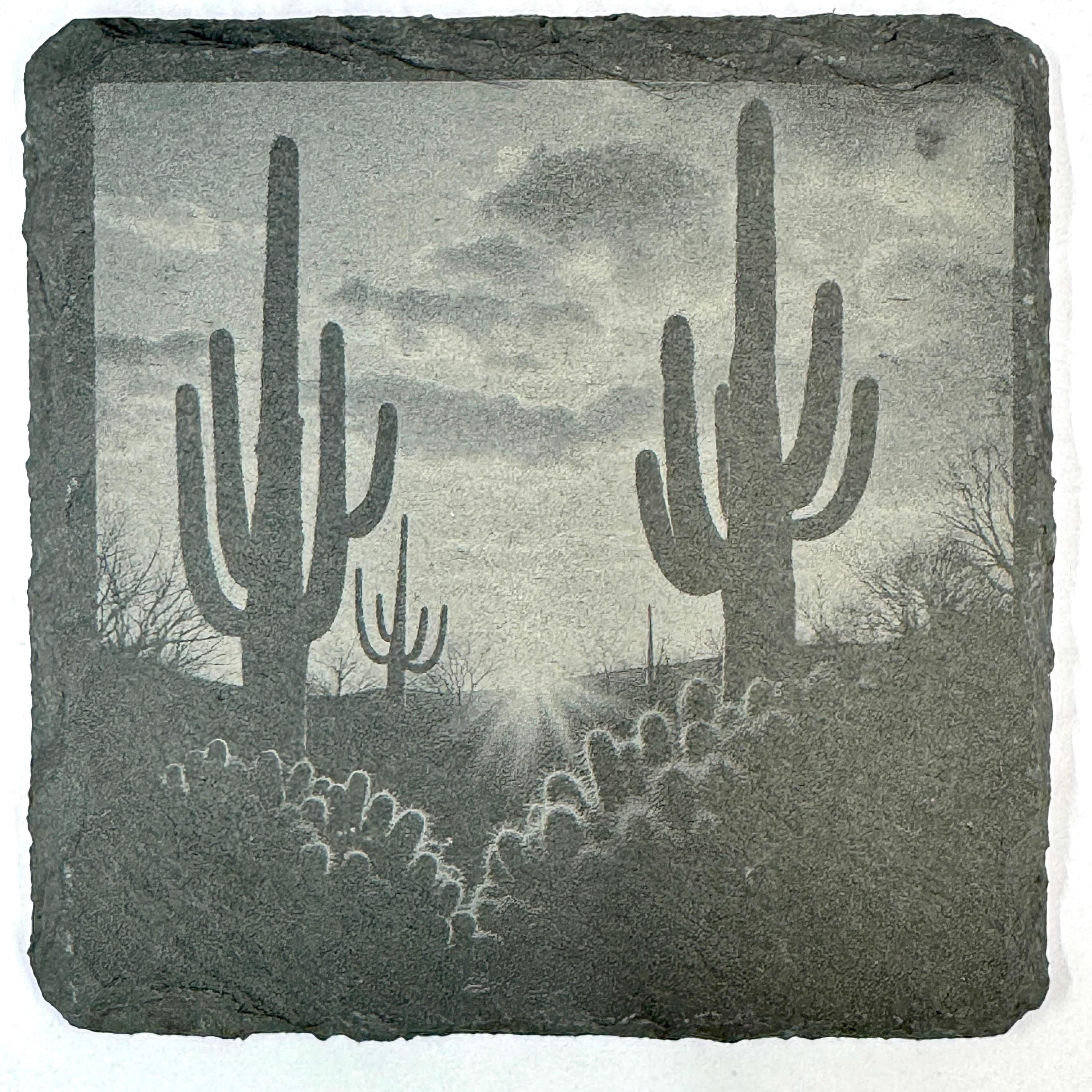 Southwestern Desert Slate Coaster Set, Engraved Saguaro Moon and Canyon Drink Coasters