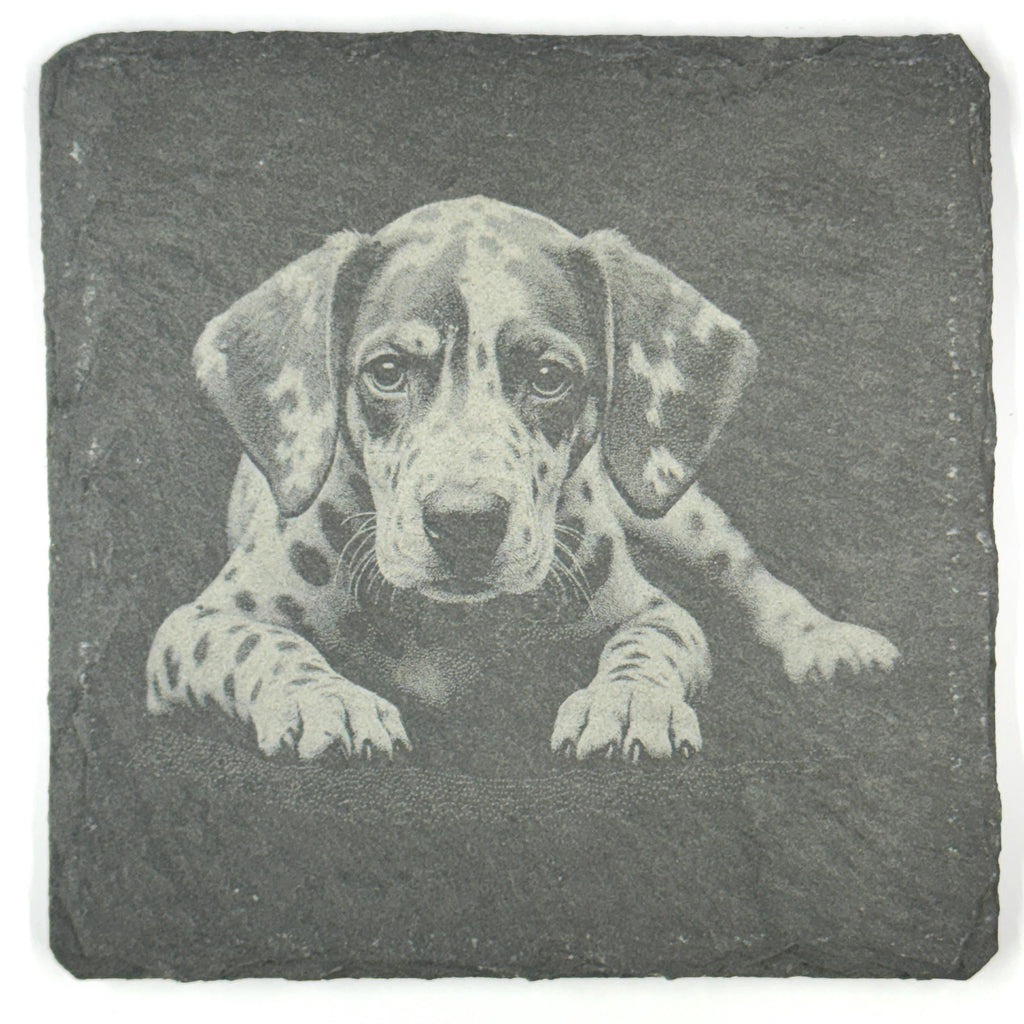Dalmatian Dog Slate Coaster Set, Engraved Dog Lover Gift