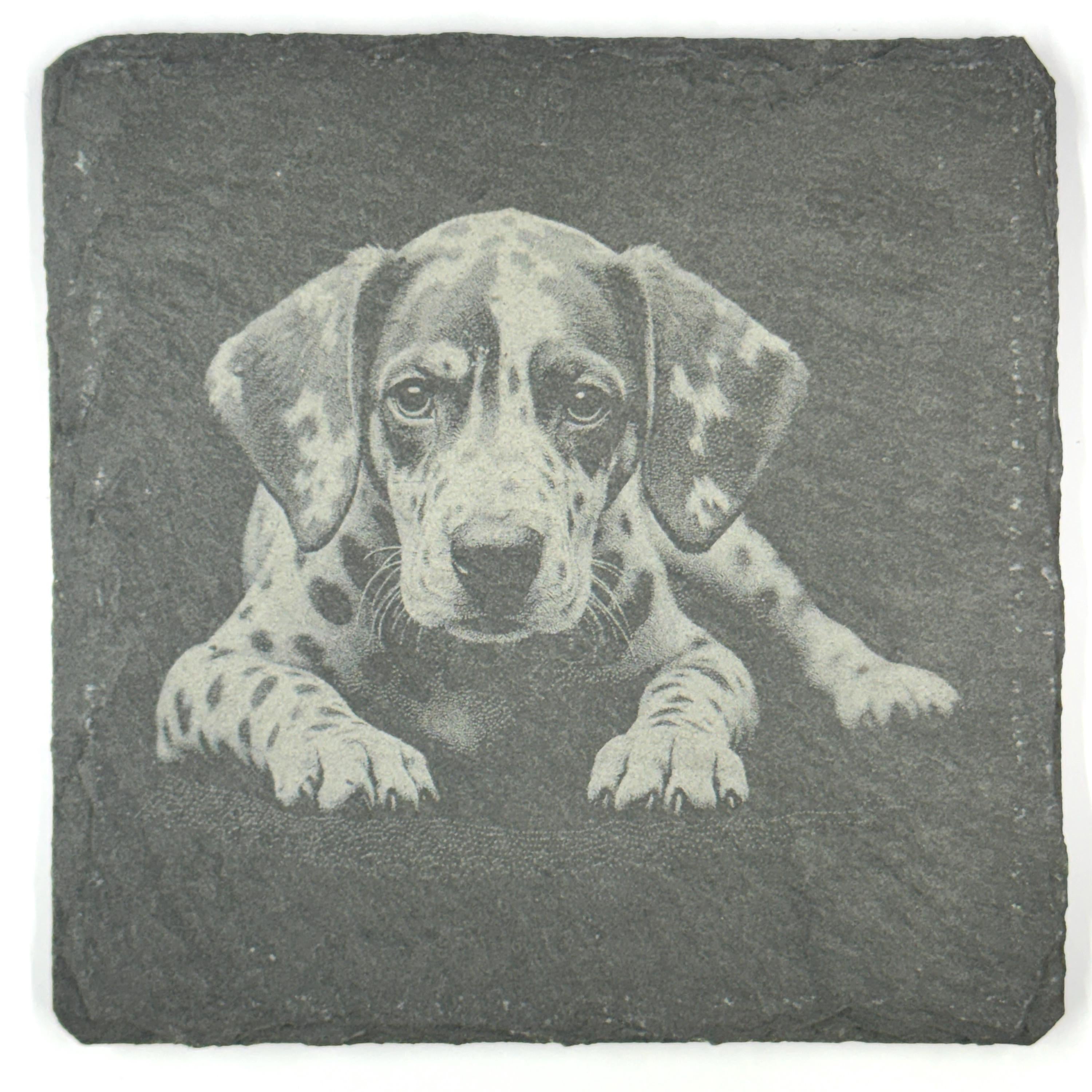 Dalmatian Dog Slate Coaster Set, Engraved Dog Lover Gift