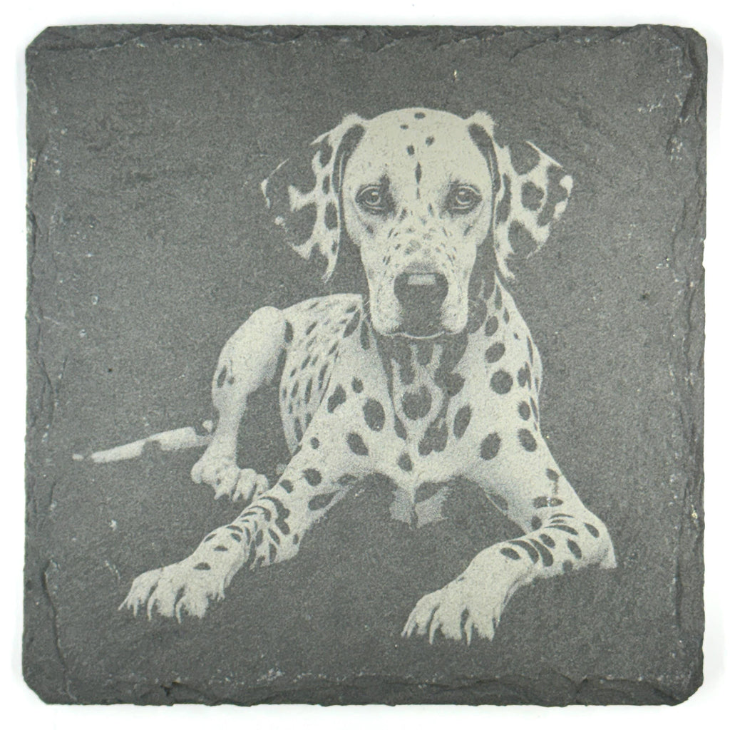 Dalmatian Dog Slate Coaster Set, Engraved Dog Lover Gift