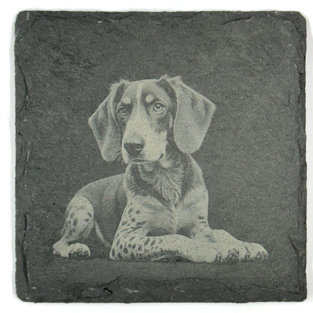 Bluetick Coonhound Slate Coaster Set, Engraved Dog Lover Gift