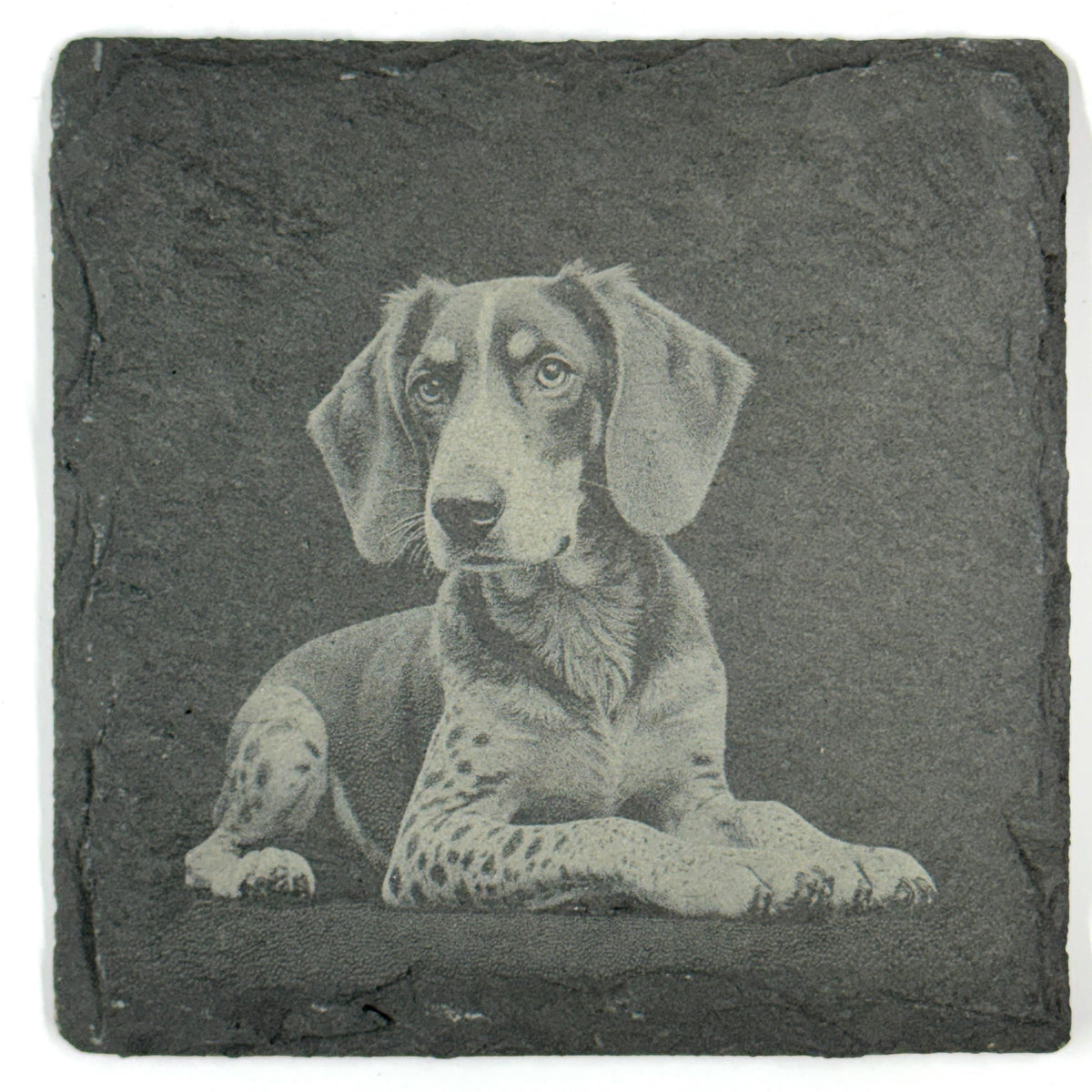 Bluetick Coonhound Slate Coaster Set, Engraved Dog Lover Gift