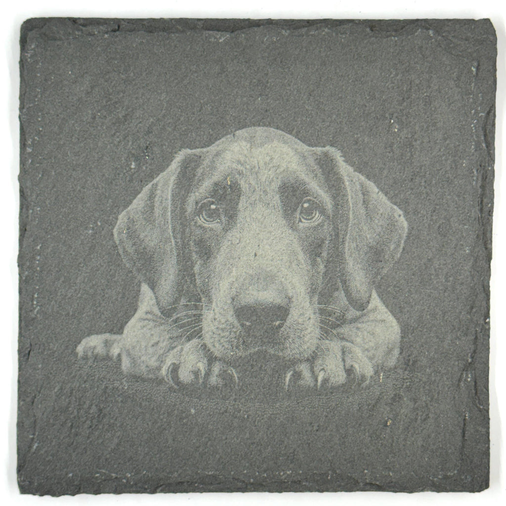 Bluetick Coonhound Slate Coaster Set, Engraved Dog Lover Gift