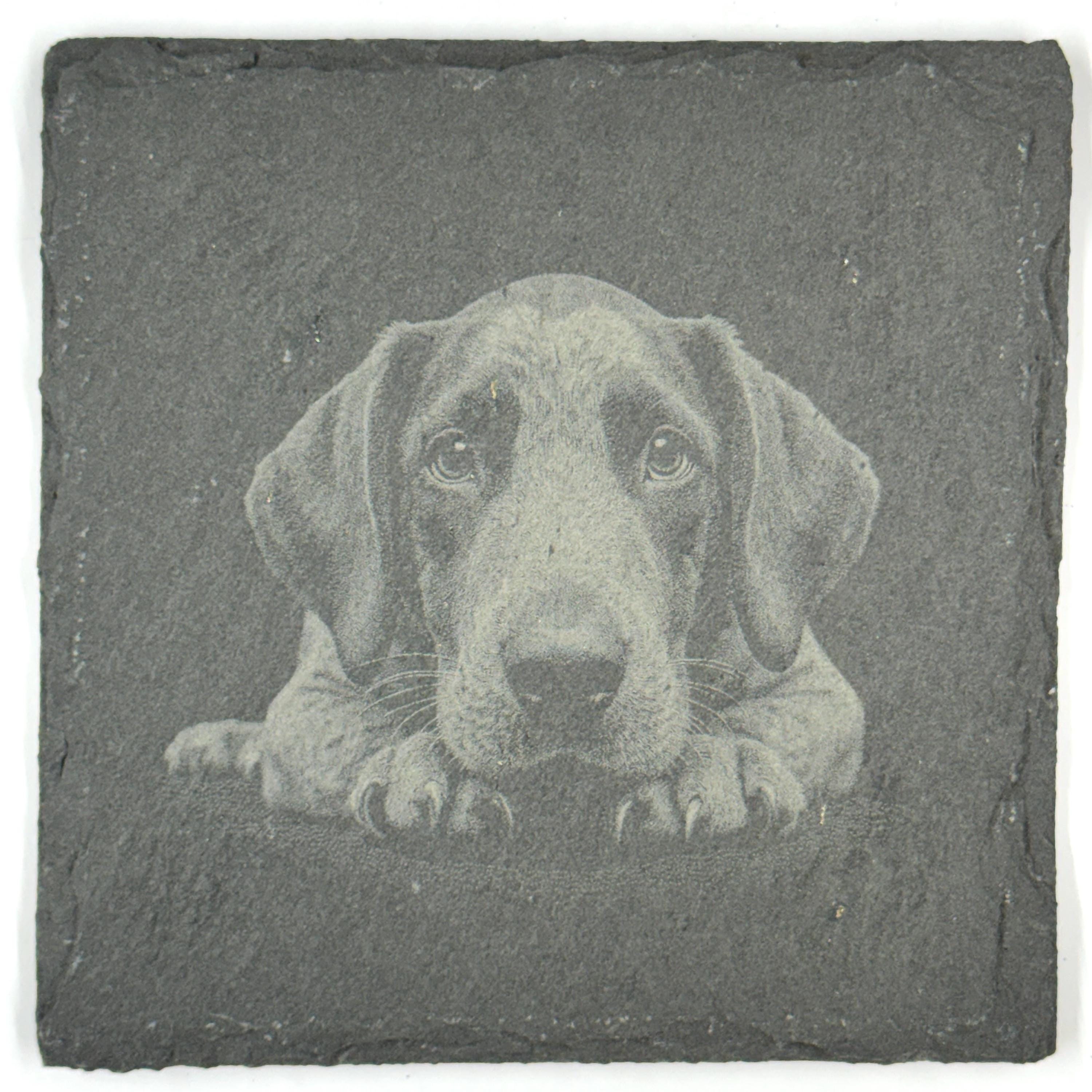 Bluetick Coonhound Slate Coaster Set, Engraved Dog Lover Gift