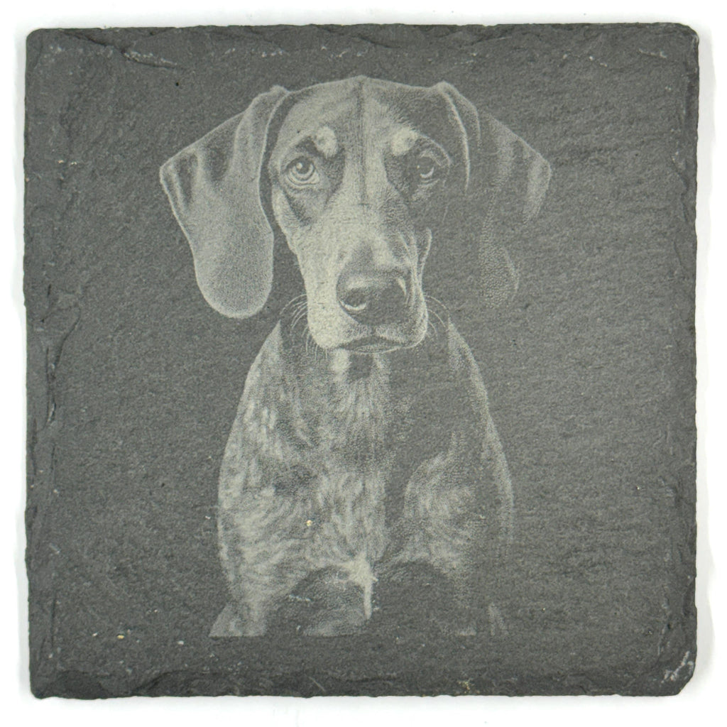 Bluetick Coonhound Slate Coaster Set, Engraved Dog Lover Gift