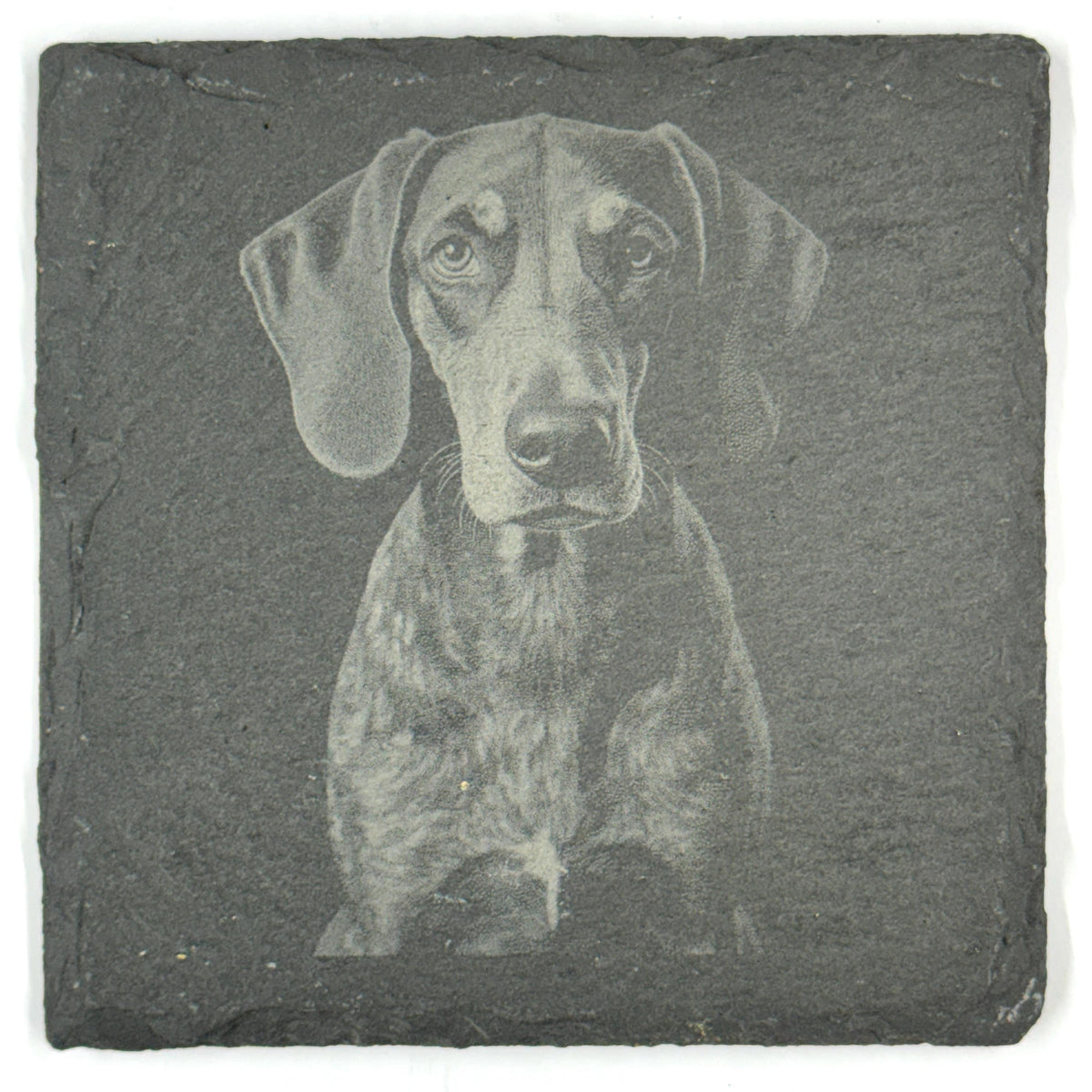 Bluetick Coonhound Slate Coaster Set, Engraved Dog Lover Gift