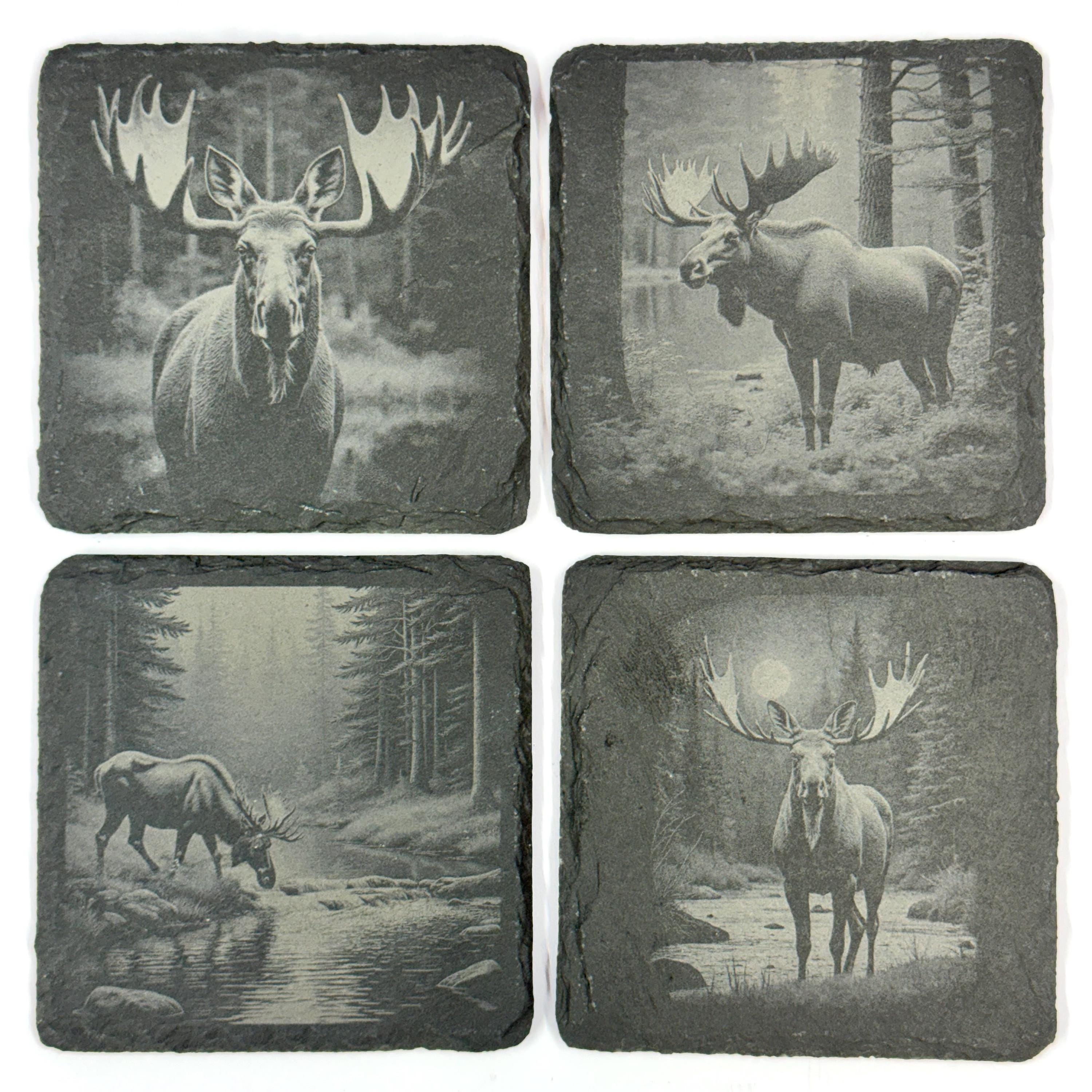 Moose Slate Coaster Set, 4 Pack of Rustic Wildlife Engraved Stone Coasters