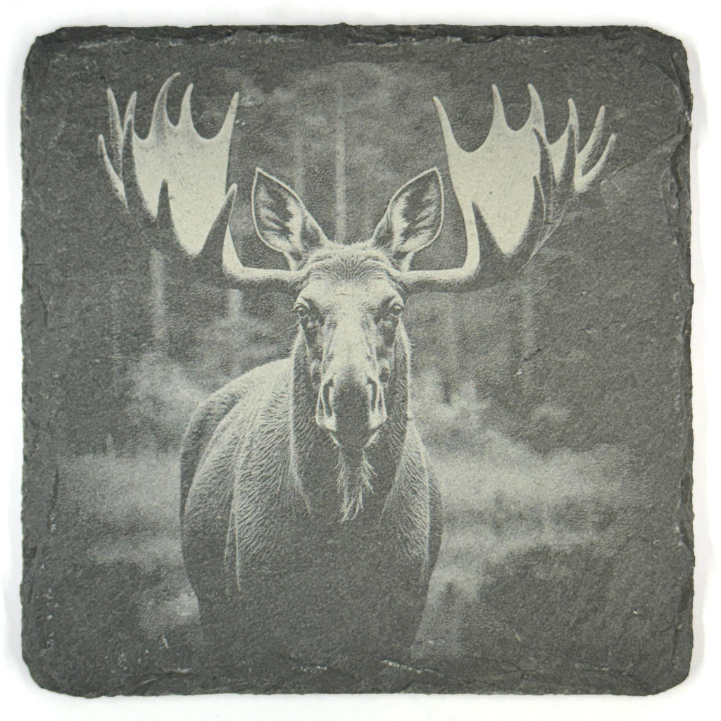 Moose Slate Coaster Set, 4 Pack of Rustic Wildlife Engraved Stone Coasters