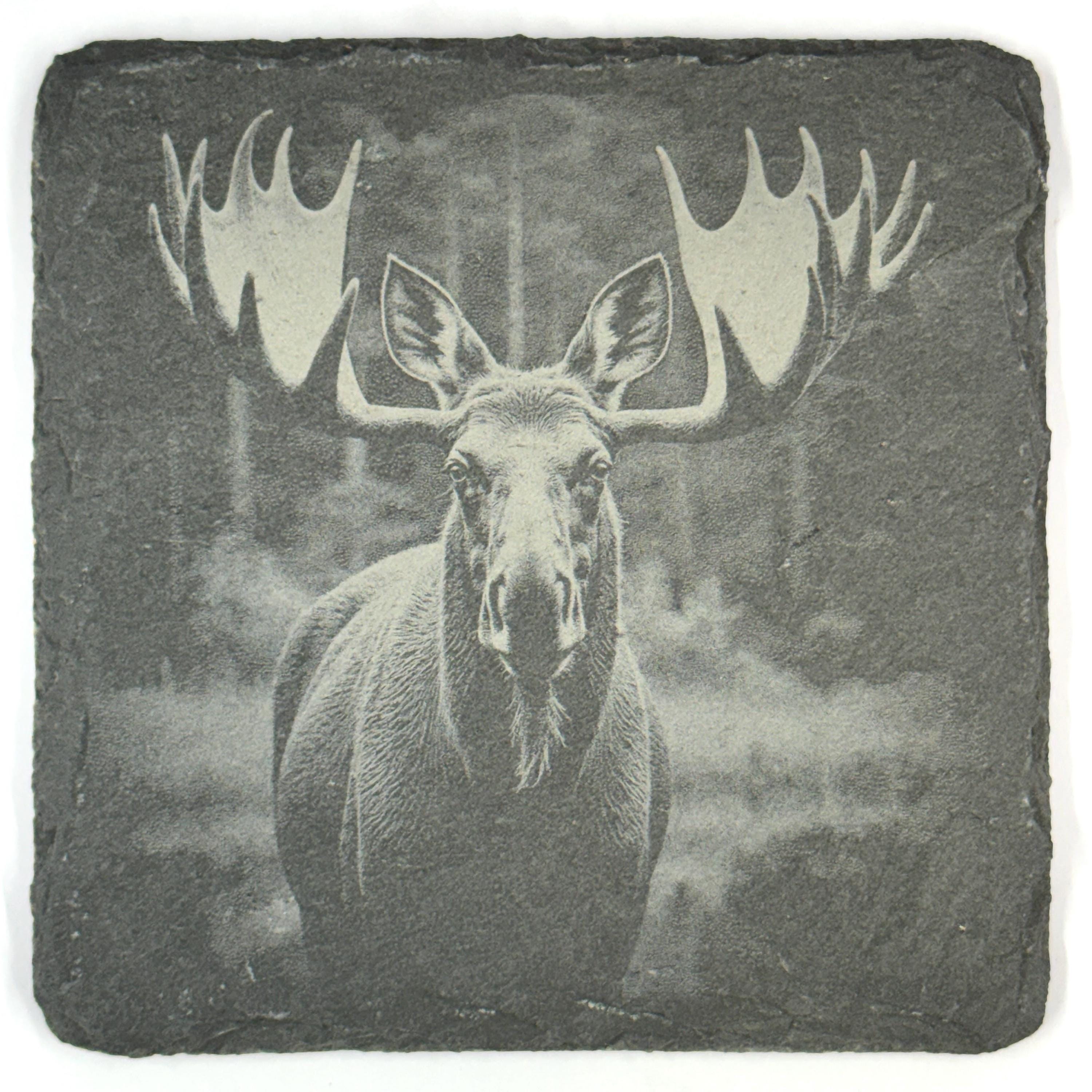 Moose Slate Coaster Set, 4 Pack of Rustic Wildlife Engraved Stone Coasters