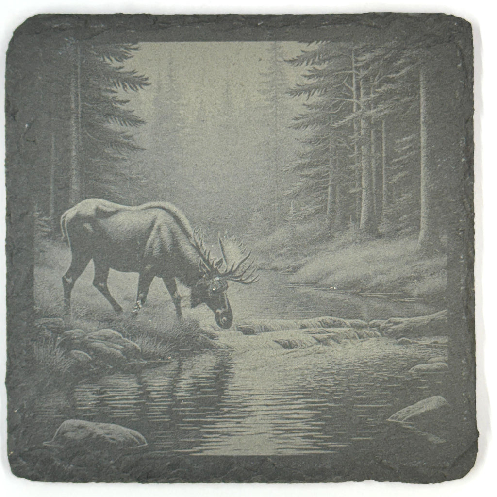 Moose Slate Coaster Set, 4 Pack of Rustic Wildlife Engraved Stone Coasters