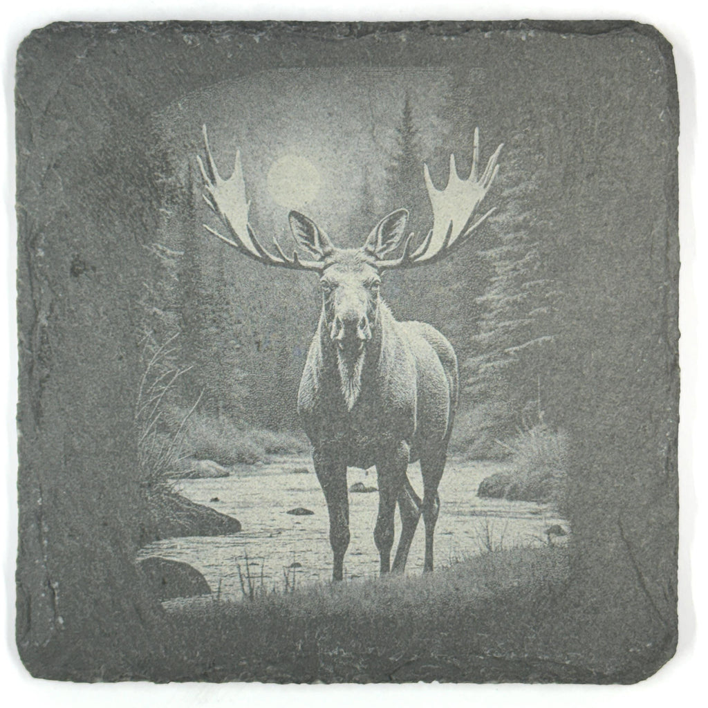 Moose Slate Coaster Set, 4 Pack of Rustic Wildlife Engraved Stone Coasters