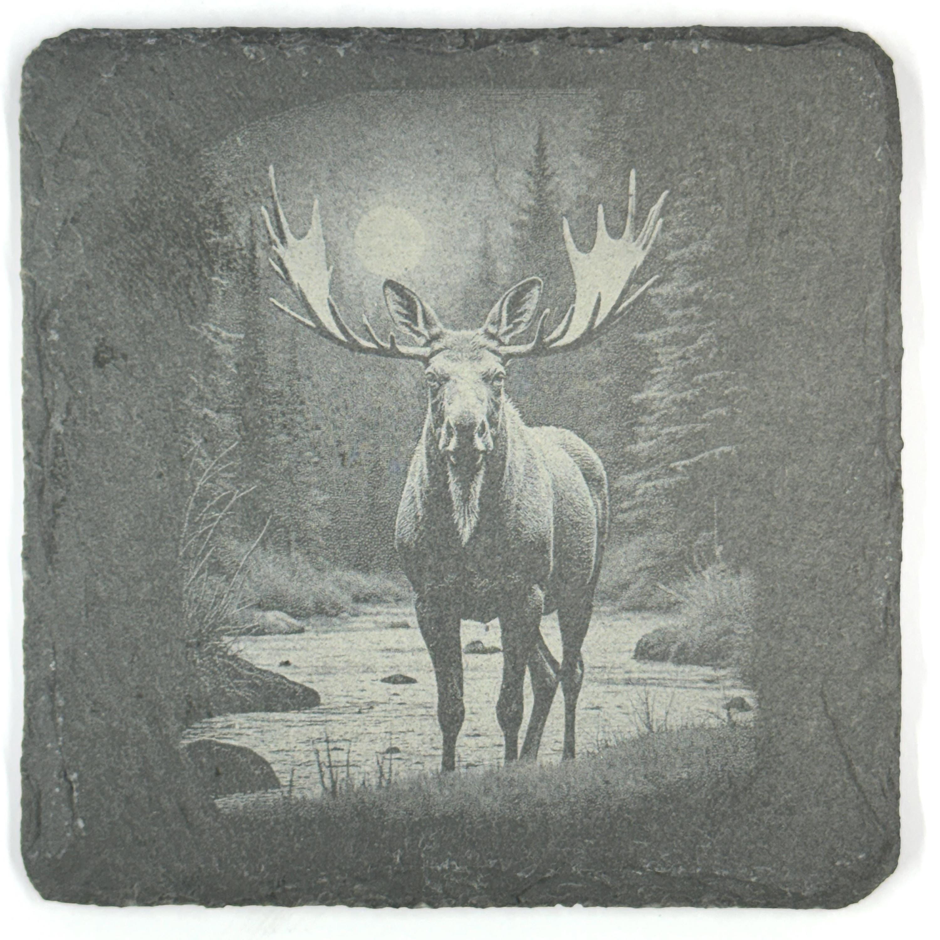 Moose Slate Coaster Set, 4 Pack of Rustic Wildlife Engraved Stone Coasters