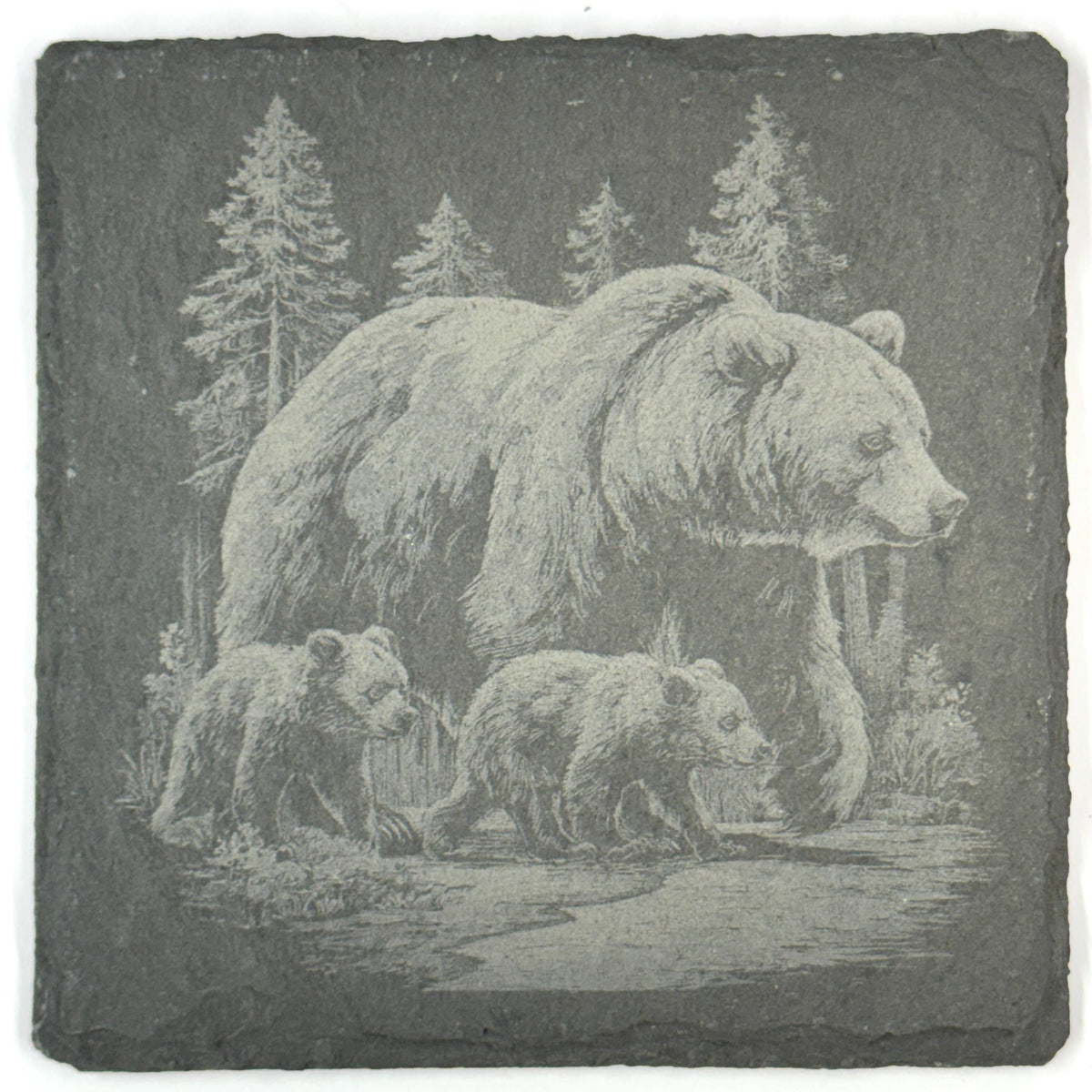 Grizzly Bear Set of 4 Laser Engraved Bear Rustic Wildlife Cabin Decor Drink Coasters
