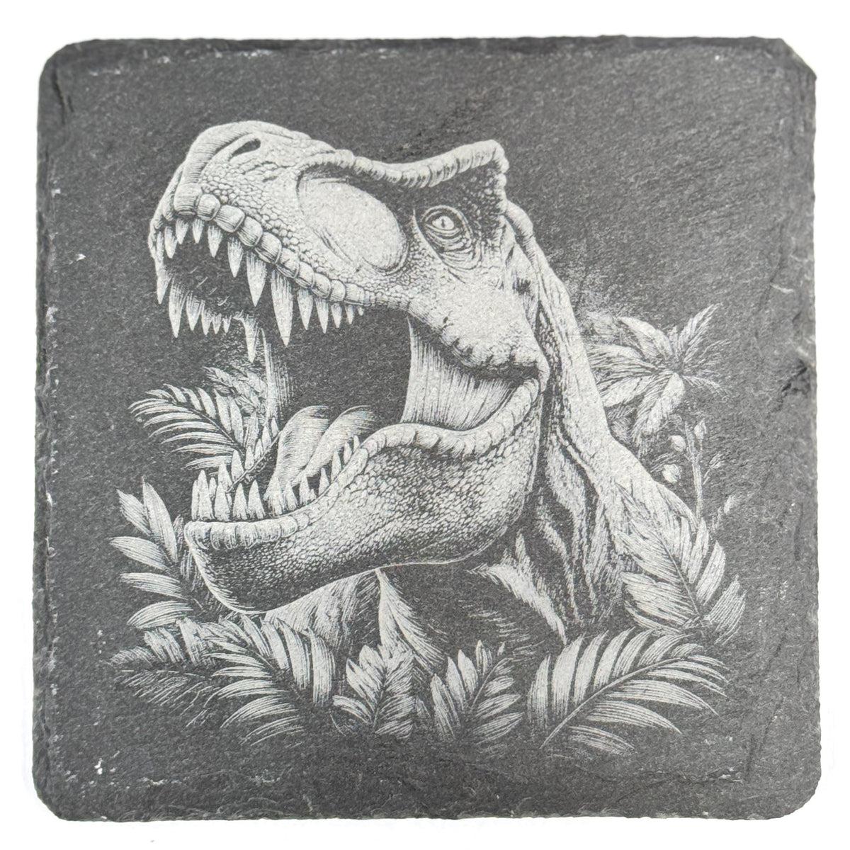 Dinosaur Slate Coaster Set of 4, Laser Engraved Prehistoric Drinkware Gift