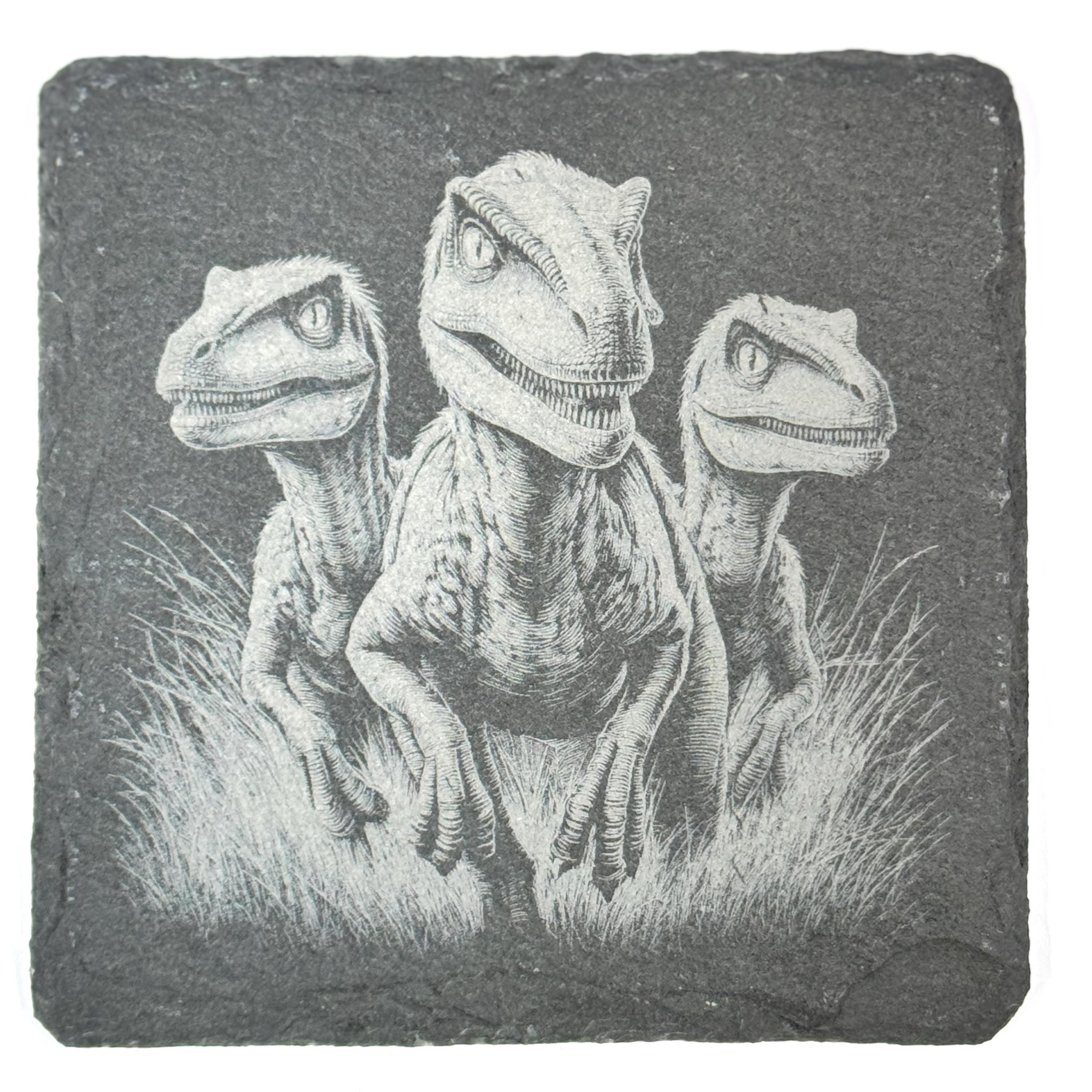 Dinosaur Slate Coaster Set of 4, Laser Engraved Prehistoric Drinkware Gift