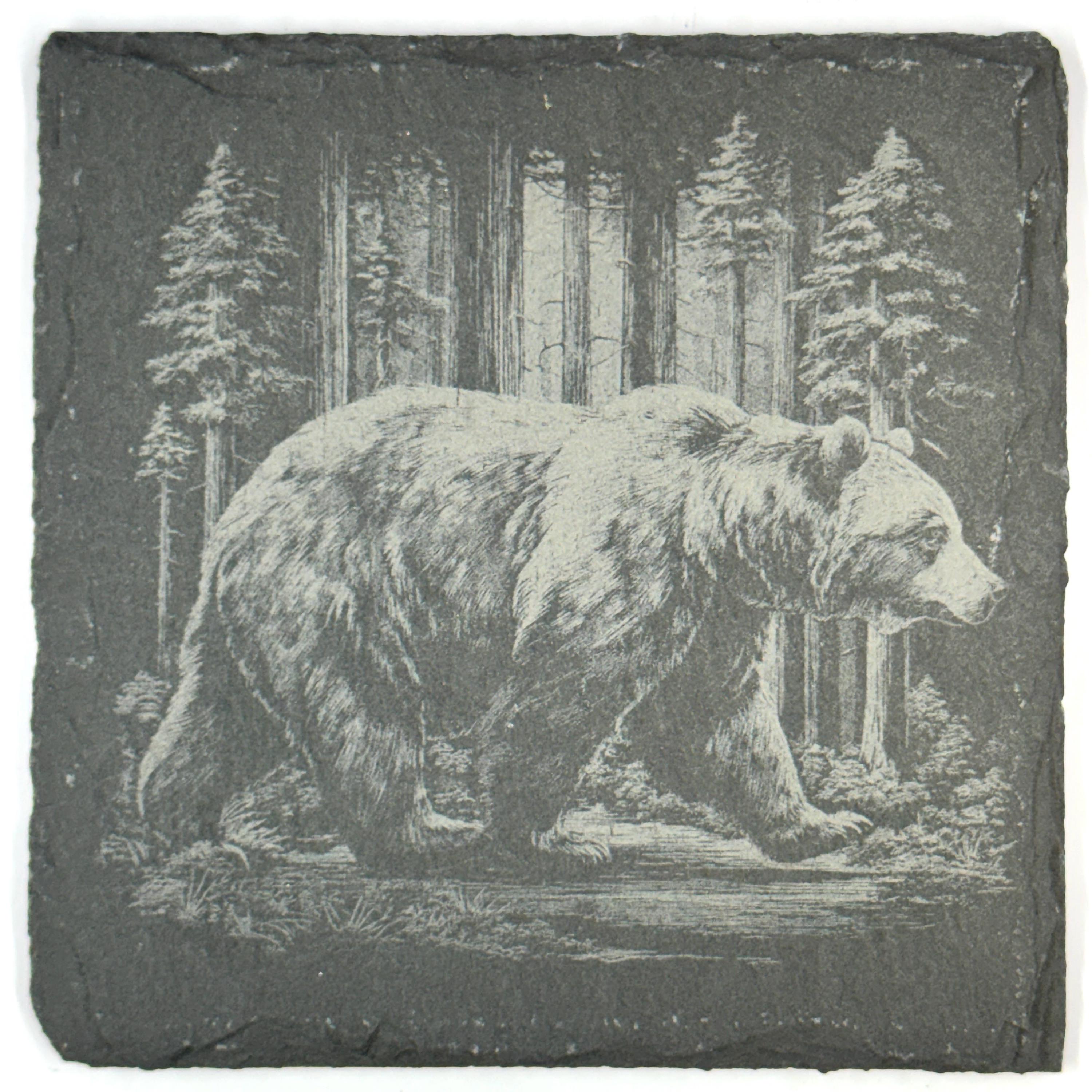 Grizzly Bear Set of 4 Laser Engraved Bear Rustic Wildlife Cabin Decor Drink Coasters