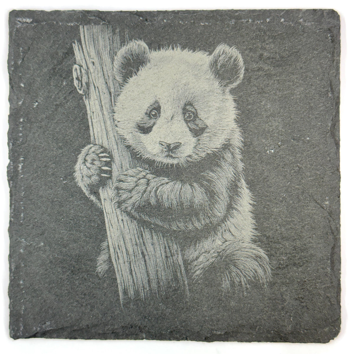 Panda Bear Slate Coaster Set of 4, Laser Engraved Wildlife Drinkware Gift
