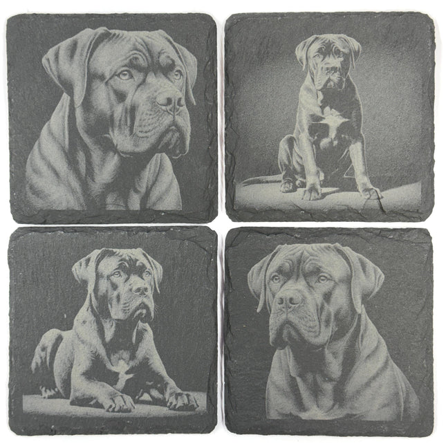 Powerful Cane Corso Dog Portraits Set of 4 Laser Engraved Slate Coasters