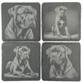 Powerful Cane Corso Dog Portraits Set of 4 Laser Engraved Slate Coasters