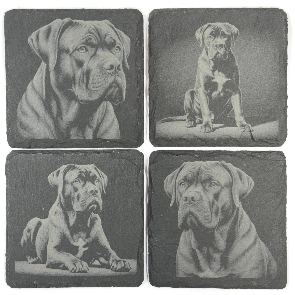Powerful Cane Corso Dog Portraits Set of 4 Laser Engraved Slate Coasters