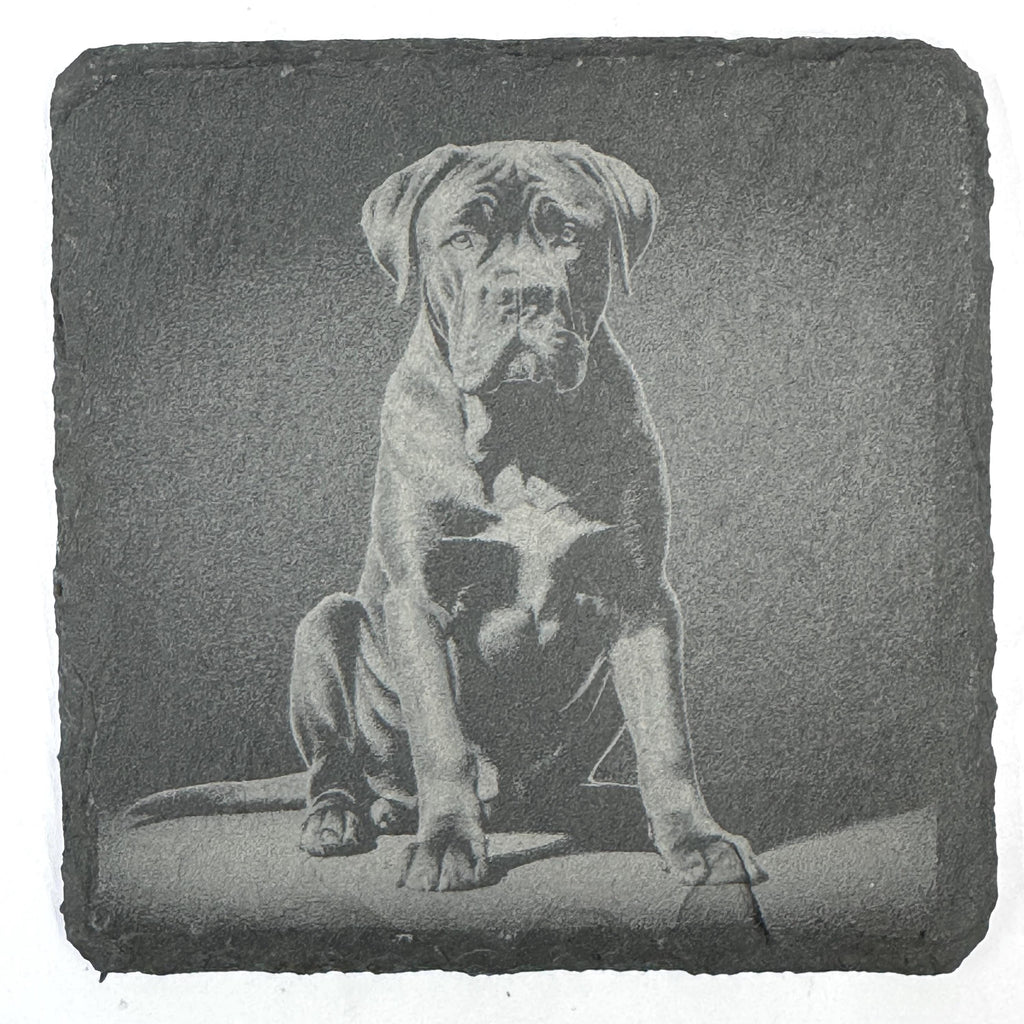 Powerful Cane Corso Dog Portraits Set of 4 Laser Engraved Slate Coasters