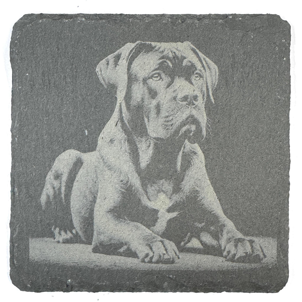 Powerful Cane Corso Dog Portraits Set of 4 Laser Engraved Slate Coasters