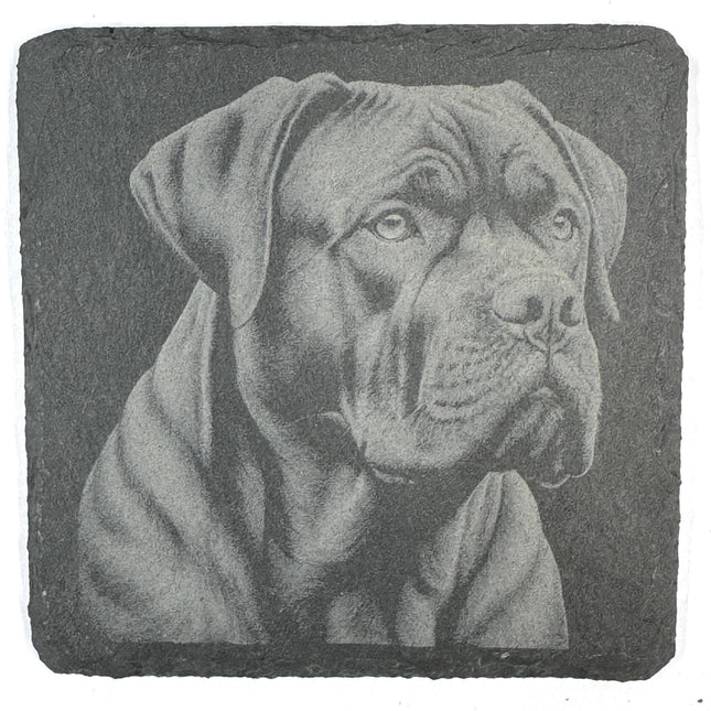 Powerful Cane Corso Dog Portraits Set of 4 Laser Engraved Slate Coasters