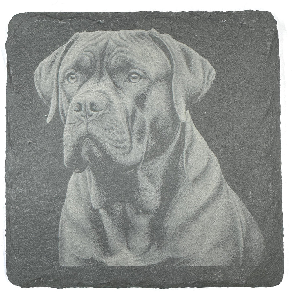 Powerful Cane Corso Dog Portraits Set of 4 Laser Engraved Slate Coasters