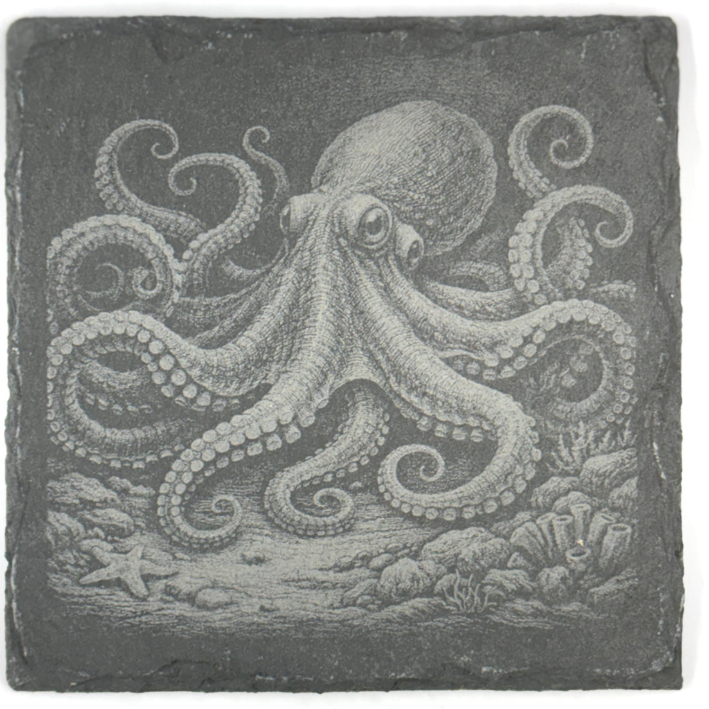 Octopus Among Rocks and Reefs, Set of 4 Laser Engraved Slate Coasters